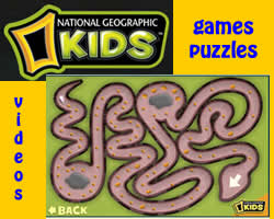 Screenshot of a National Geographic Kids webpage with a maze game in the center, surrounded by colorful text linking to games, puzzles, and videos on a yellow and blue background.